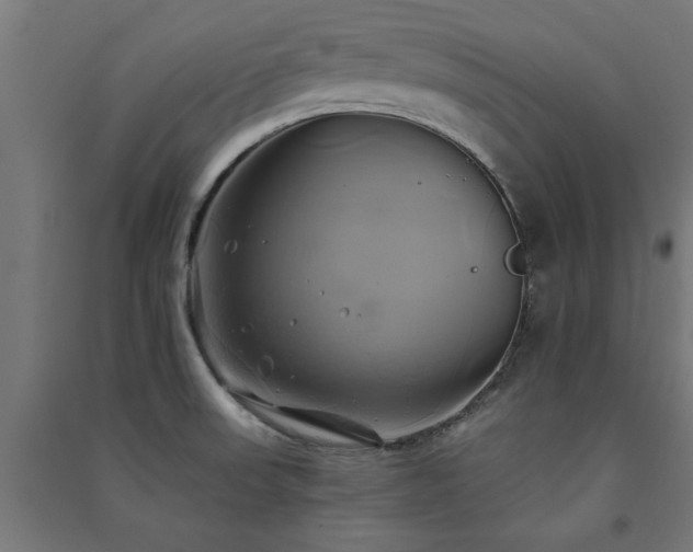 X0000091591523200708201218
