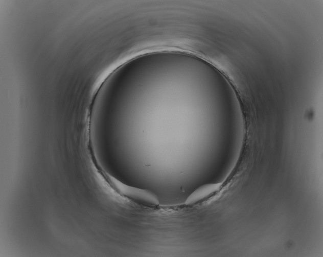 X0000091591524200708201218