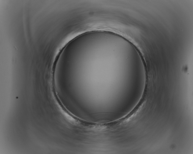 X0000091591525200708201218
