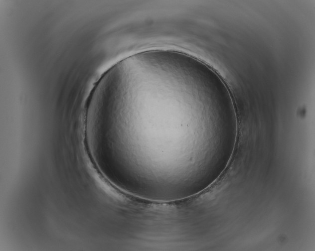 X0000091591526200708201218