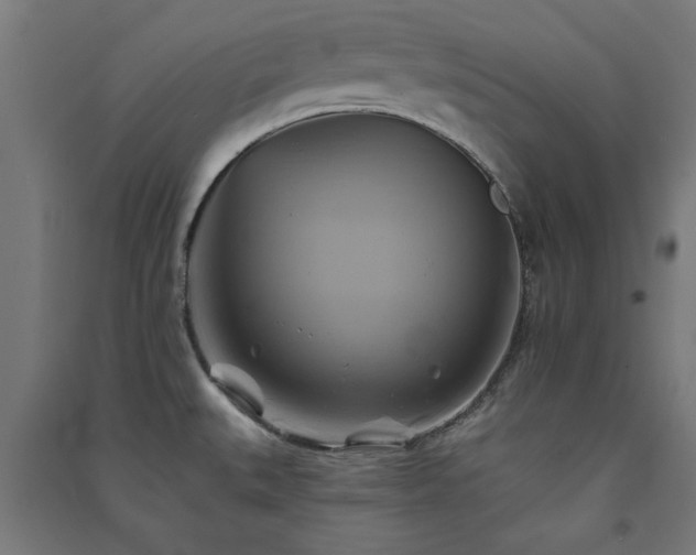 X0000091591527200708201218