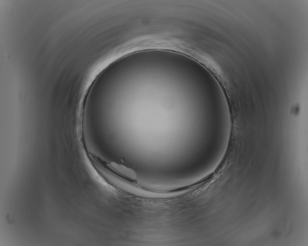 X0000091591528200708201219