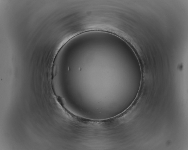 X0000091591529200708201219