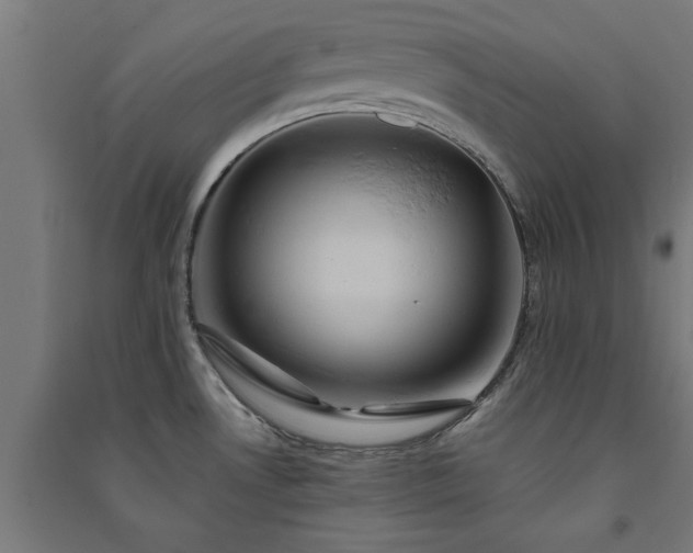 X0000091591530200708201219