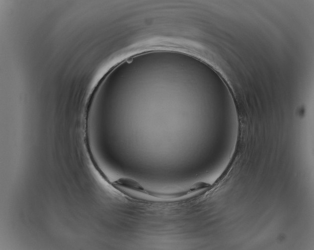X0000091591531200708201219