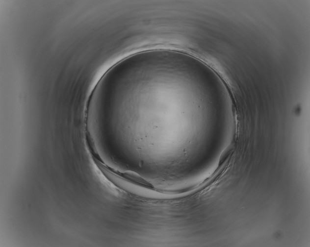X0000091591532200708201219