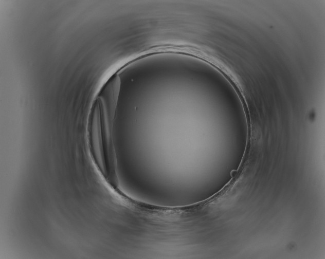 X0000091591533200708201219