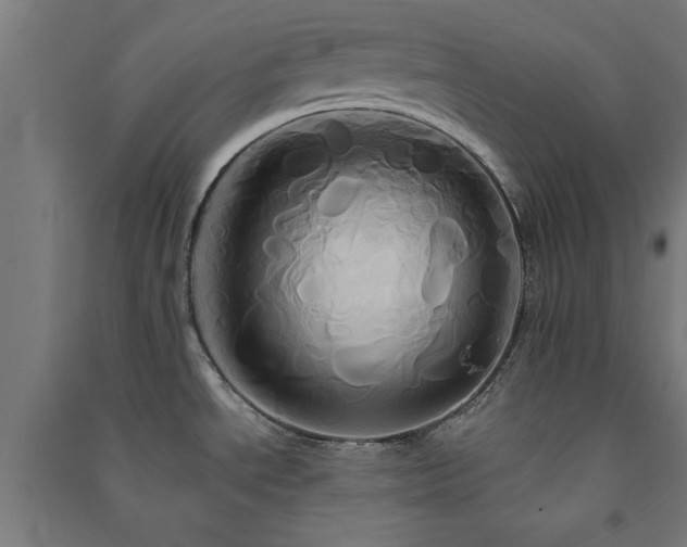 X0000091591534200708201219