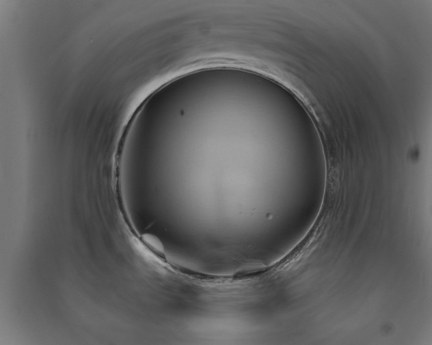 X0000091591535200708201219
