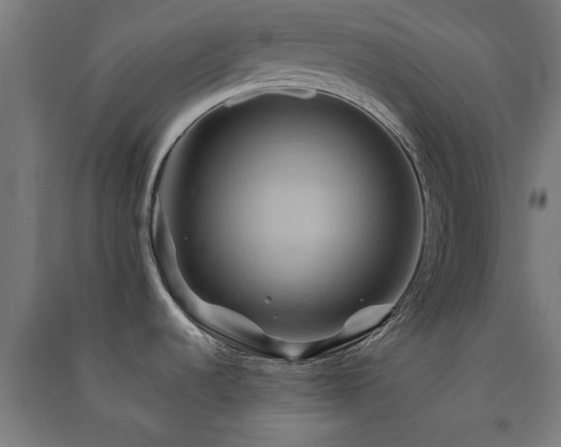 X0000091591536200708201219