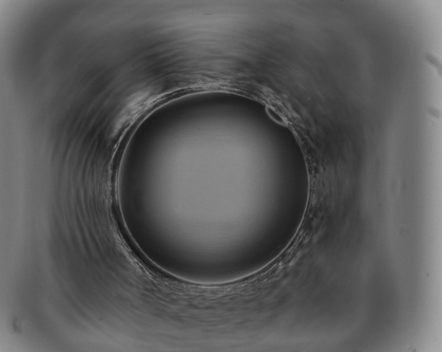X0000091590002200708271254