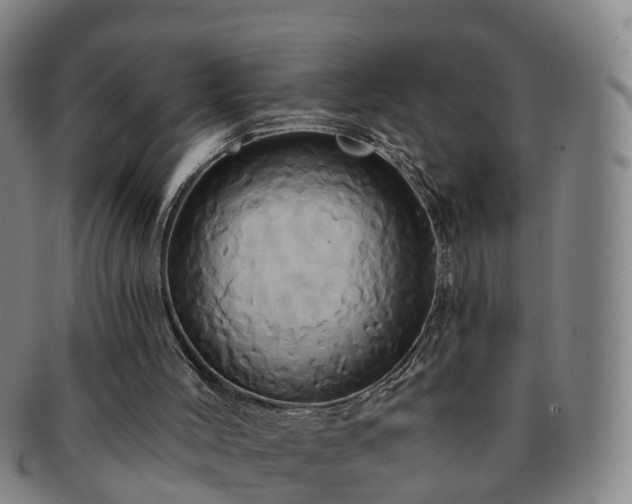 X0000091590004200708271254
