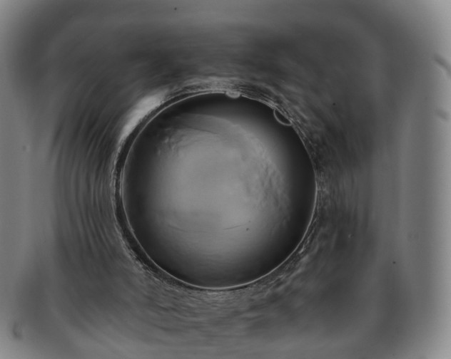 X0000091590006200708271254
