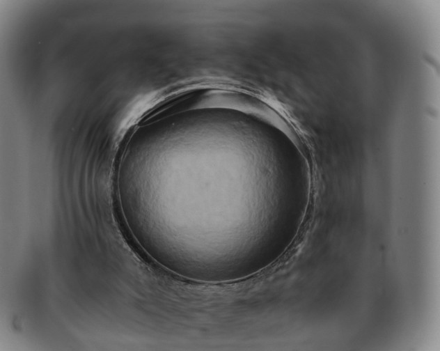 X0000091590007200708271254