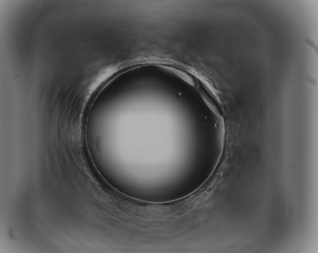 X0000091590008200708271254