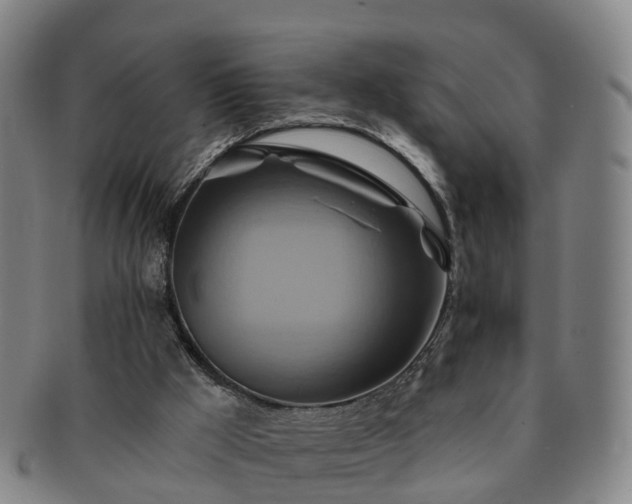 X0000091590009200708271254
