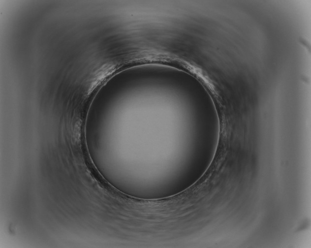 X0000091590010200708271254