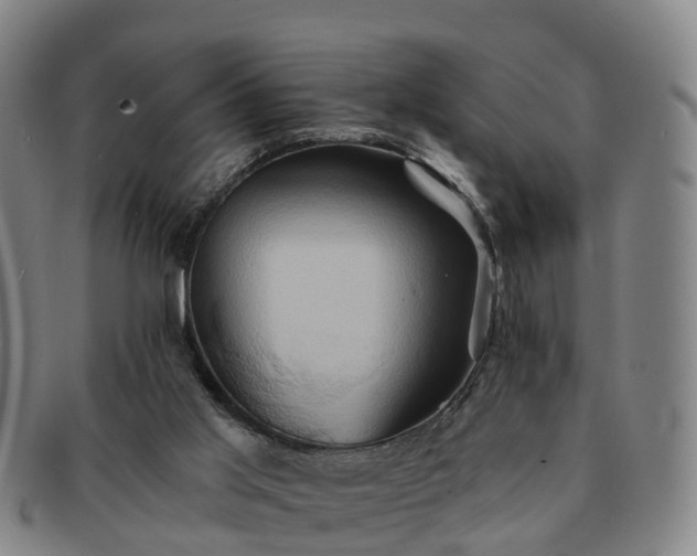 X0000091590013200708271254