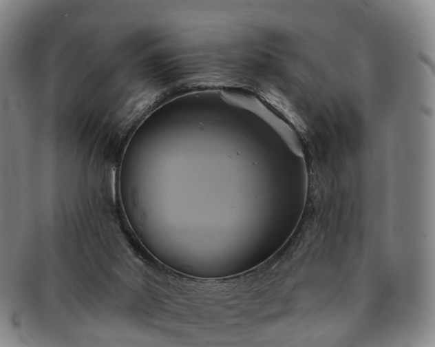 X0000091590014200708271254