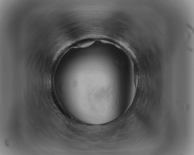 X0000091590015200708271254
