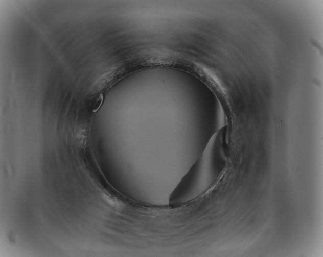X0000091590017200708271254