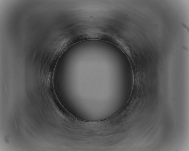 X0000091590018200708271254
