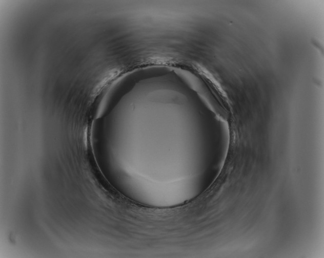 X0000091590019200708271254