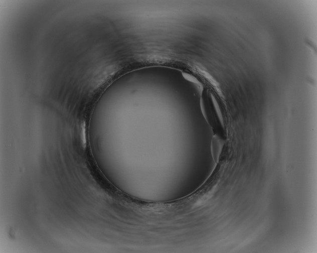 X0000091590020200708271254