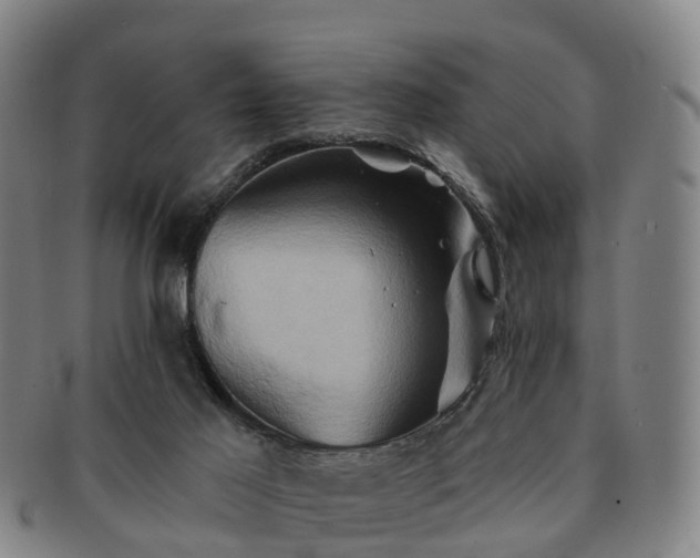 X0000091590021200708271254