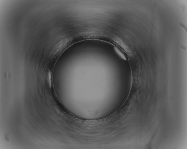 X0000091590022200708271254