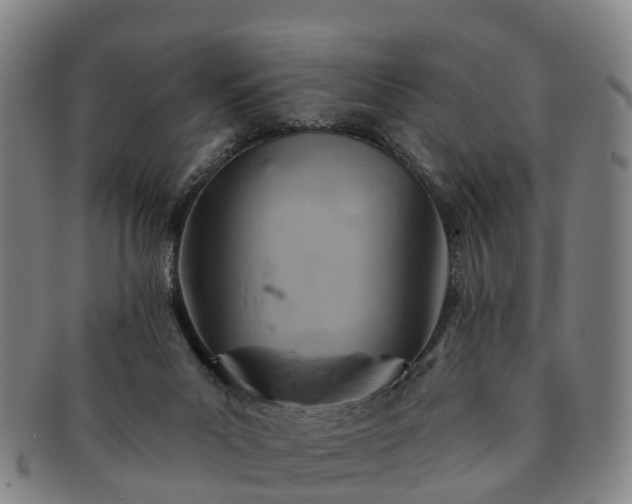 X0000091590023200708271254
