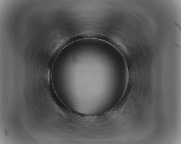 X0000091590024200708271254