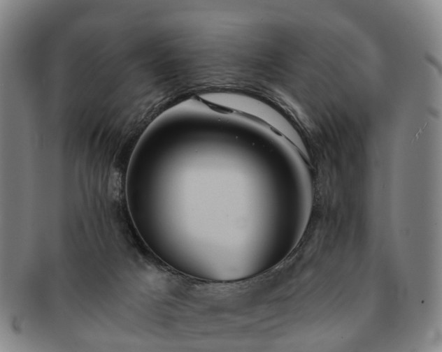 X0000091590025200708271254
