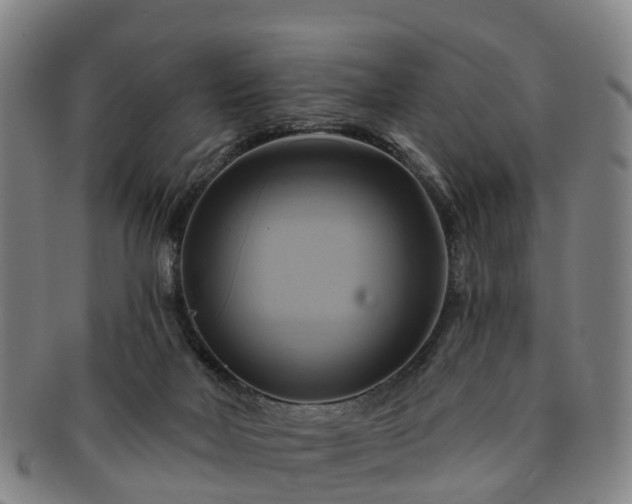 X0000091590026200708271254
