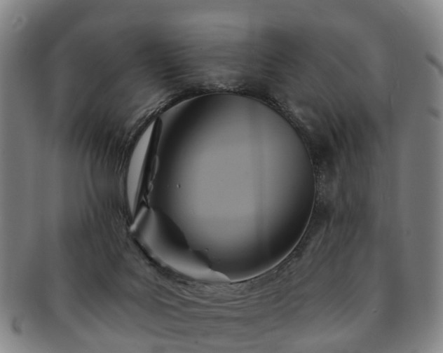 X0000091590027200708271254