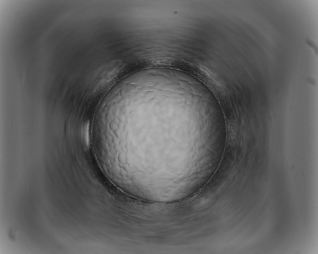 X0000091590028200708271254