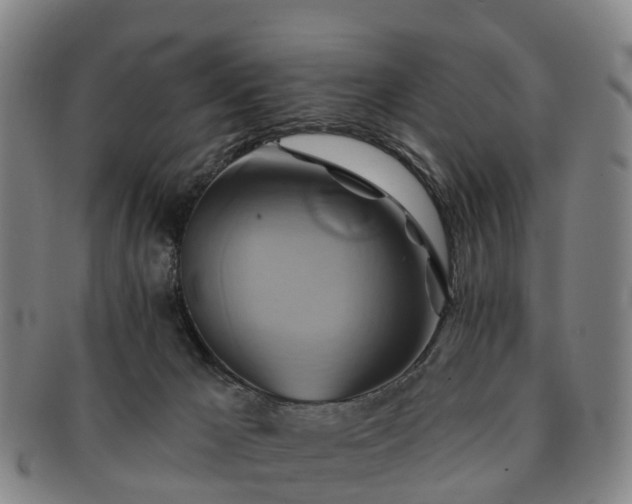 X0000091590029200708271254