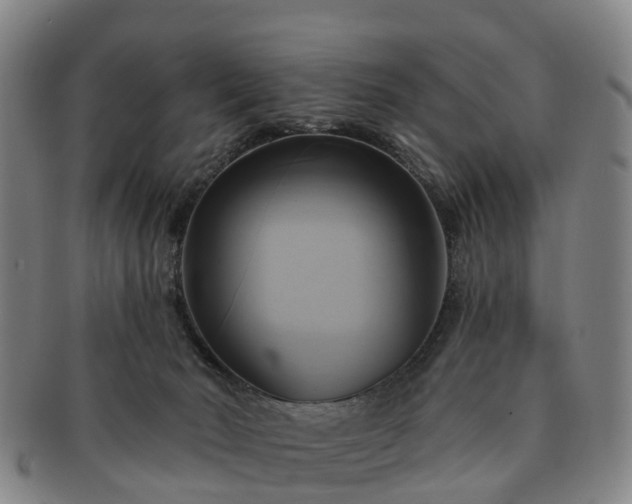 X0000091590030200708271254