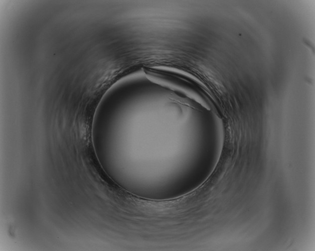 X0000091590031200708271254