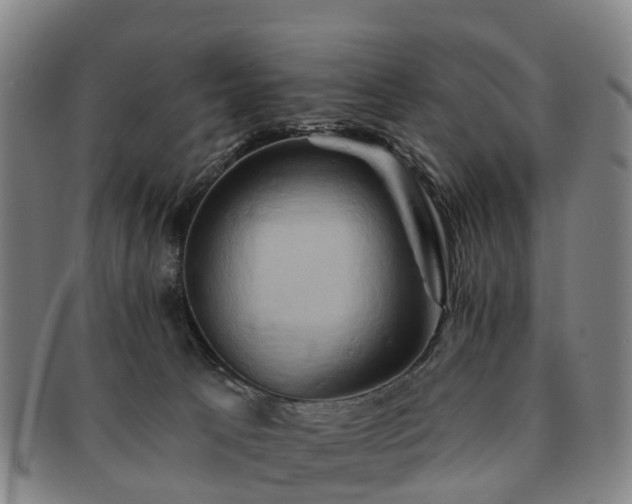 X0000091590033200708271253