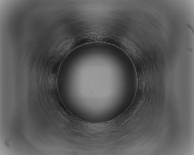 X0000091590034200708271253