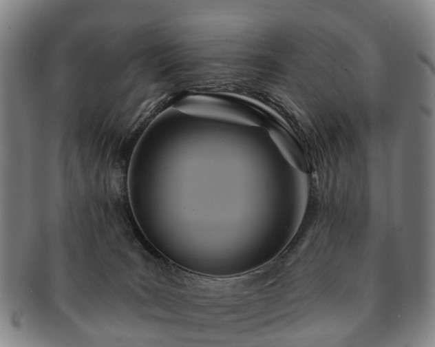 X0000091590035200708271253