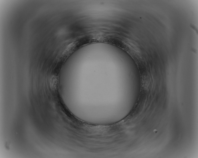 X0000091590036200708271253