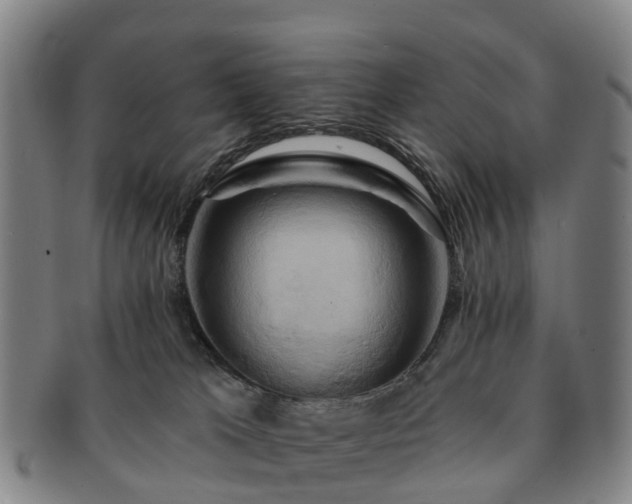 X0000091590037200708271253
