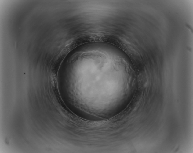 X0000091590038200708271253