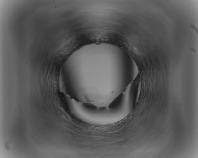 X0000091590039200708271253
