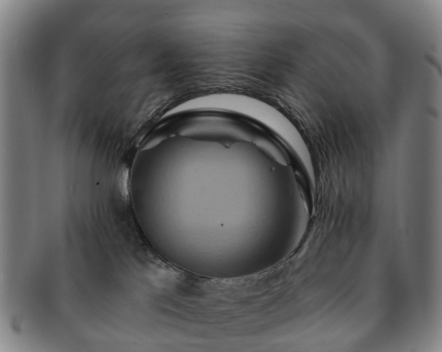 X0000091590041200708271253