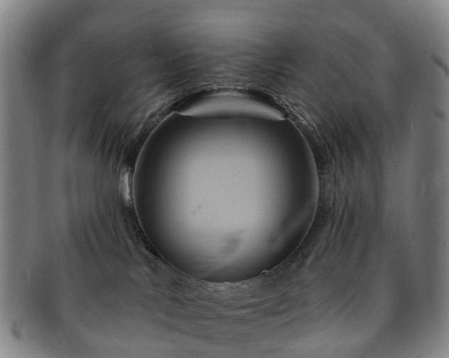X0000091590042200708271253