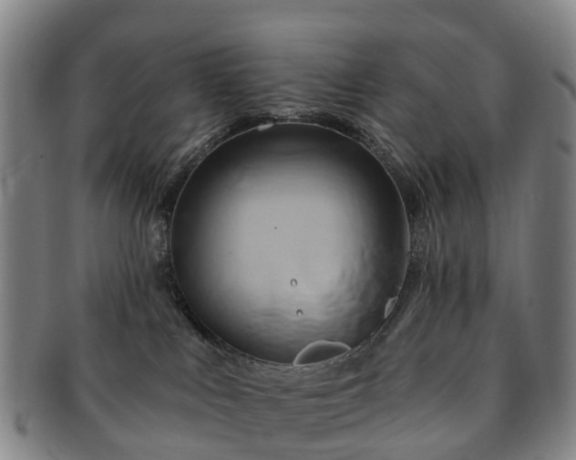 X0000091590043200708271253