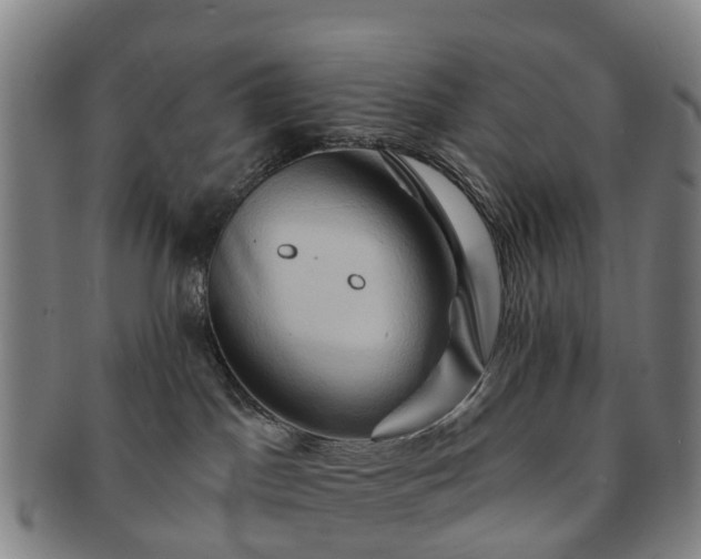 X0000091590045200708271253